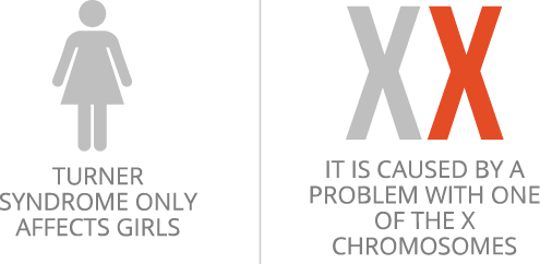 Chart Of Chromosomes