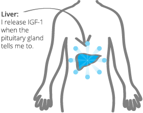 Hgh Injections